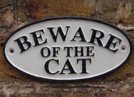 Small &quot;Beware of the Cat&quot; sign