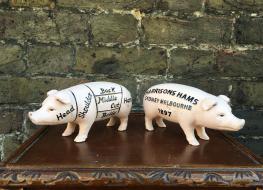 butchers pig money box