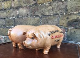 Pig bank Quaker City