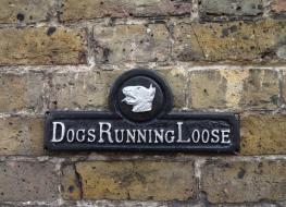 Dogs running loose sign