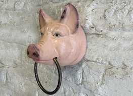 pig head with ring