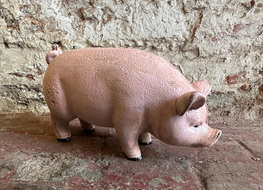 8&quot; pig bank