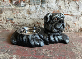 dog food bowl