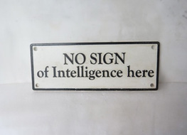 no sign of intelegencce